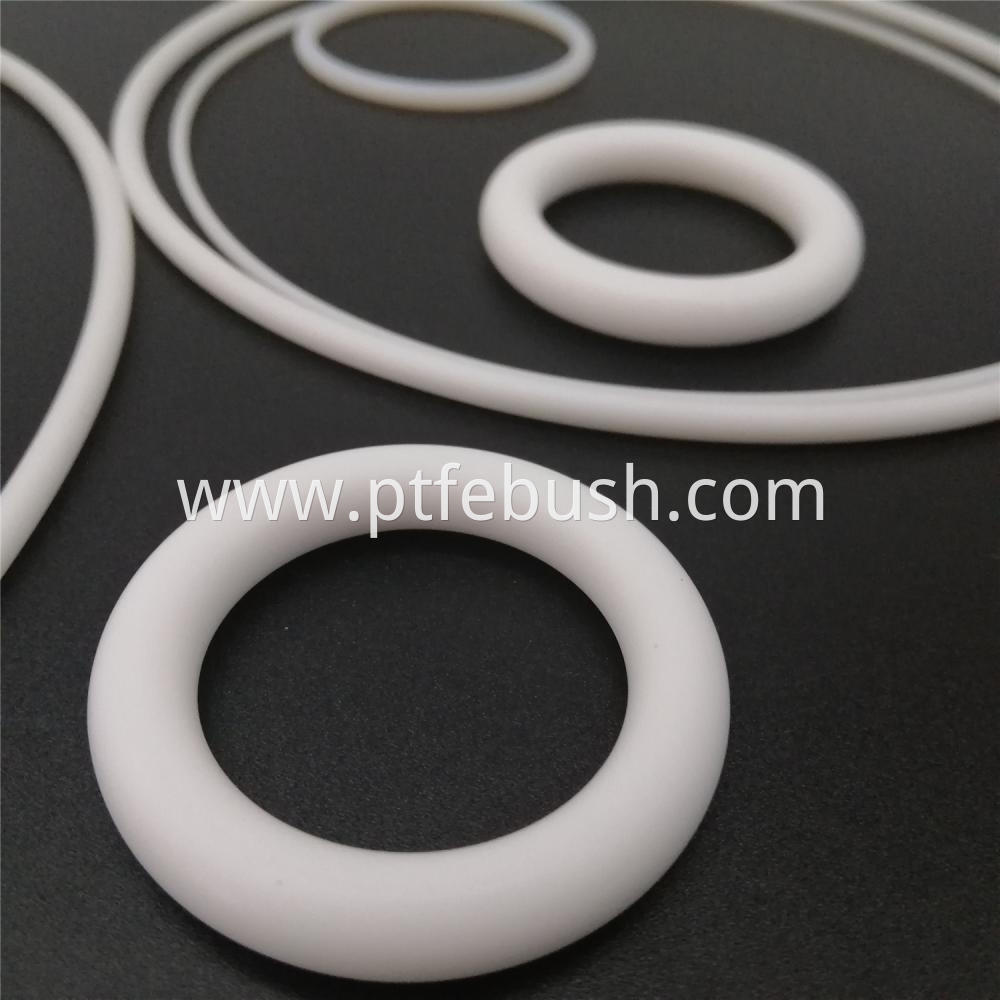 Ptfe O Ring 31 Jpg